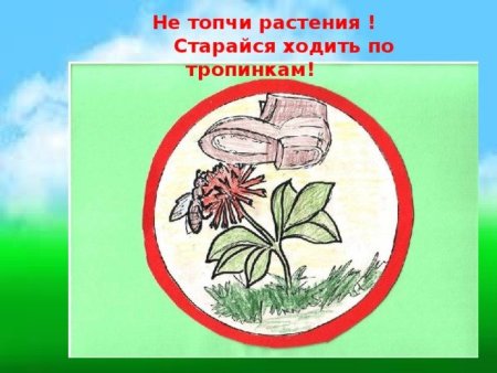 Не топчи растения