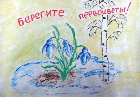 Плакат берегите первоцветы
