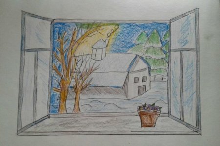 Из моего окна