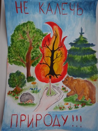Рисунок на тему береги лес от пожара