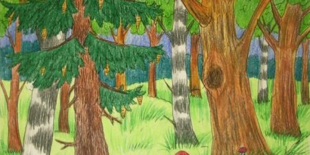 Детские рисунки леса карандашом