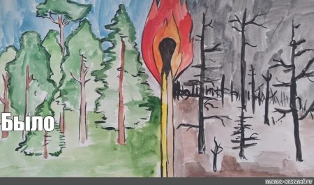 Охрана лесов от пожаров рисунок