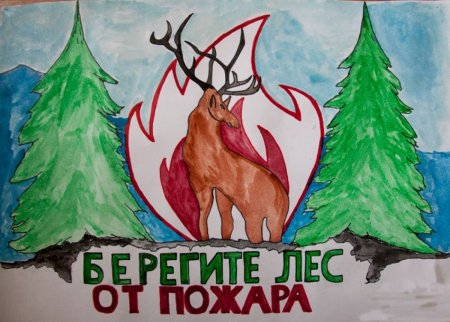 Рисунок на тему береги лес от пожара
