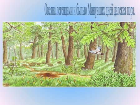 Лес для дошкольников