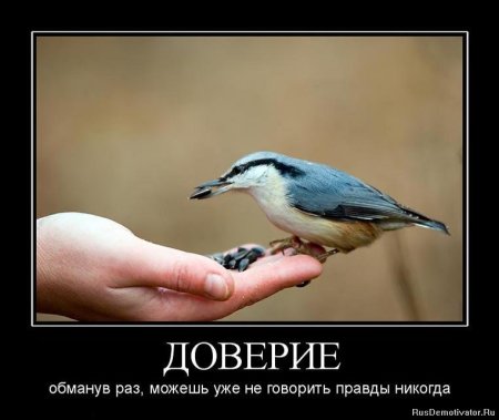 Доверие и доверчивость