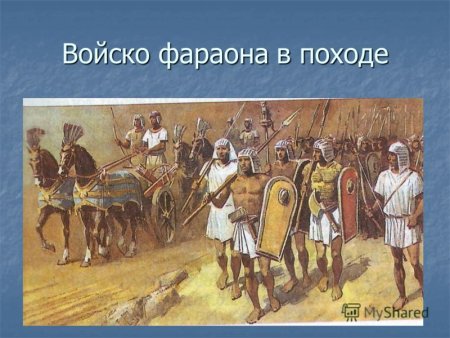 Воин Митанни