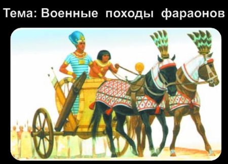Боевая колесница в древнем Египте