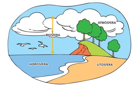 Биосфера хакида