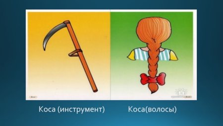 Омонимы к слову коса