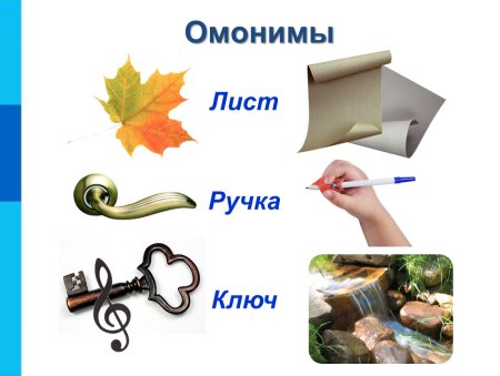 Омонимы для дошкольников