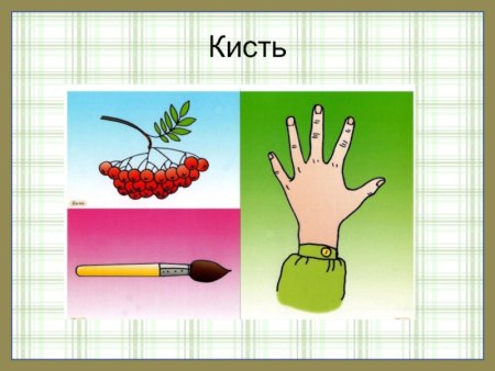 Многозначные слова рисунки