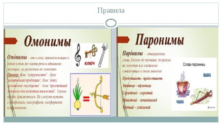 Омонимы и паронимы