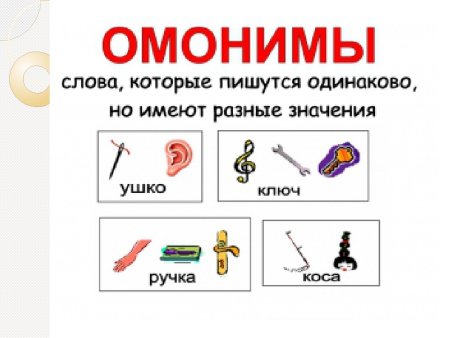 Слова омонимы