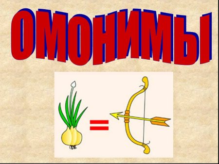Омонимы примеры
