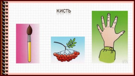 Омонимы для детей