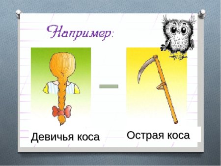 Омонимы картинки