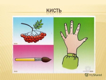 Многозначные слова для дошкольников
