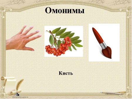 Нарисовать омонимы