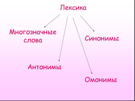 Синонимы антонимы омонимы