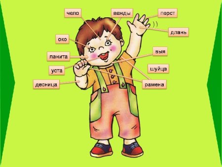 Лексика рисунок