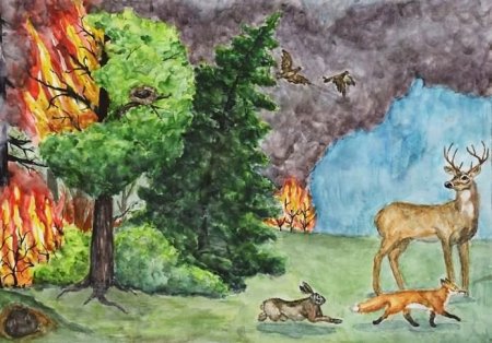 Рисунок на тему лес