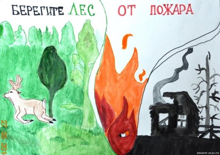 Берегите лес от пожара рисунки