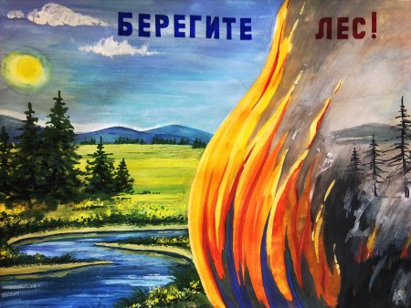 Противопожарная тематика в лесу