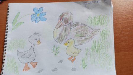 Гадкий утенок лебедь раскраска