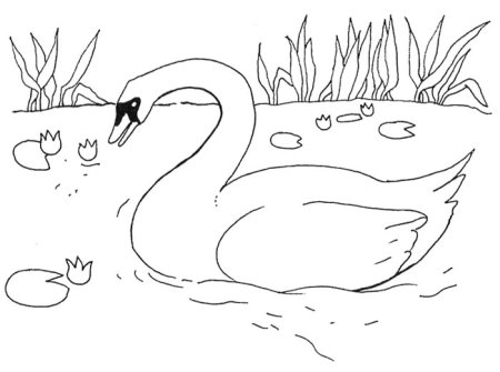 Гадкий утенок рождение утенка