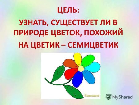 Цветик семицветик задания для детей