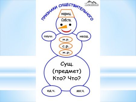 Портрет имени существительного