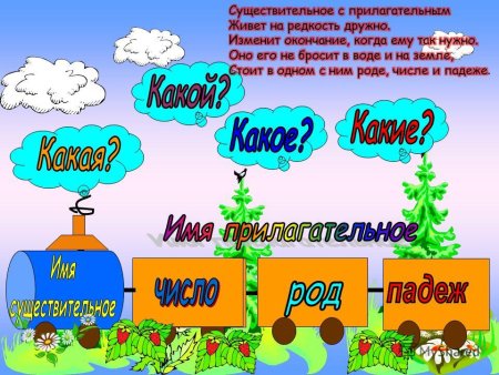 Имя прилагательное