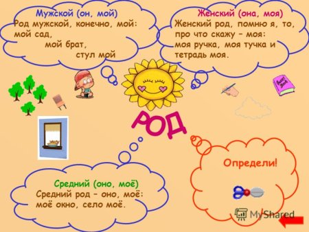 Род имен существительных задания