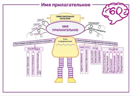 Имя прилагательное схема