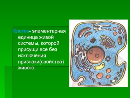 Клетка Живая система