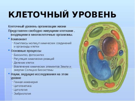 Клетка Живая система