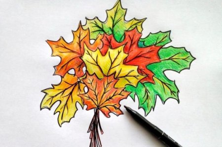 Рисование листьев клена