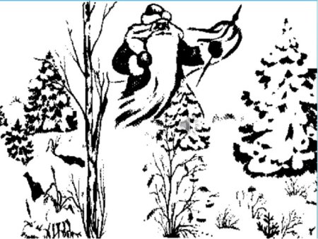 Мороз красный нос Воевода