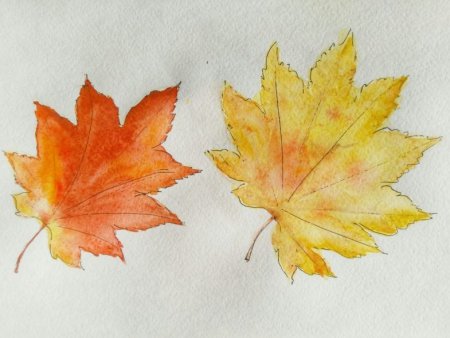 Рисование из кленовых листьев