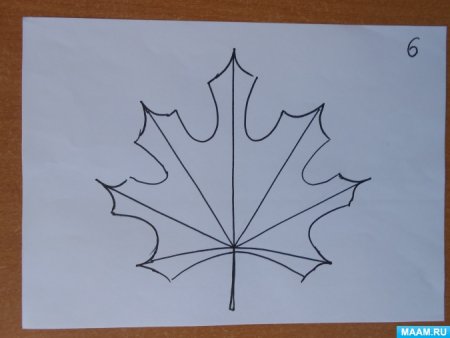 Рисование лист клена в старшей группе