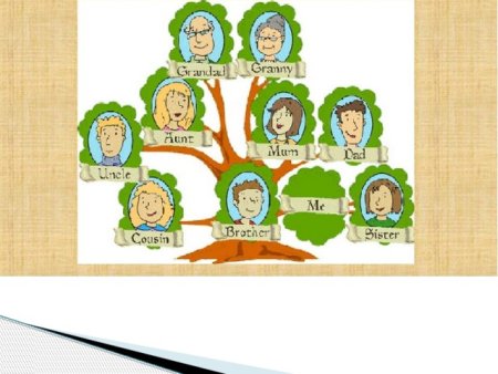 Генеалогическое дерево по английскому