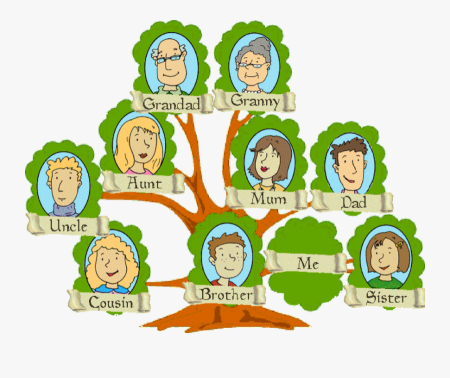 Семейное дерево (my Family Tree)