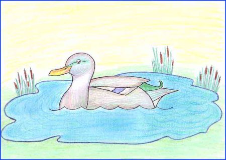 Иллюстрация серая шейка нарисовать