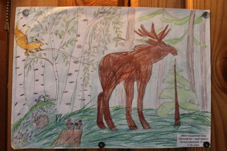 Обитатели леса конкурс