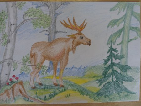 Рисунки на тему лес глазами детей