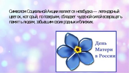 Незабудка символ дня матери