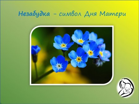День матери Незабудка