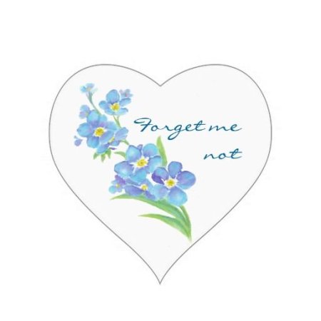 Незабудка символ дня матери