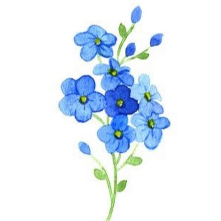 Незабудки зарисовки