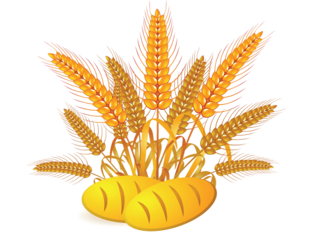 16 Октября Всемирный день хлеба